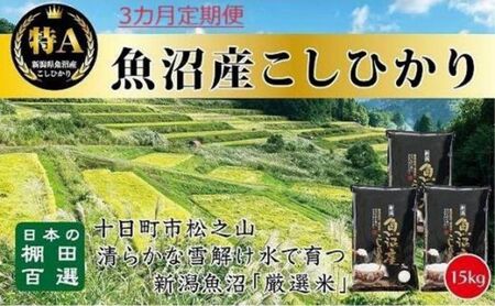 【令和7年産】【食味鑑定士厳選】3カ月 定期便 日本棚田百選のお米 天空の里 魚沼産 こしひかり 15kg(5kg×3)×3回 米 お米 コメ