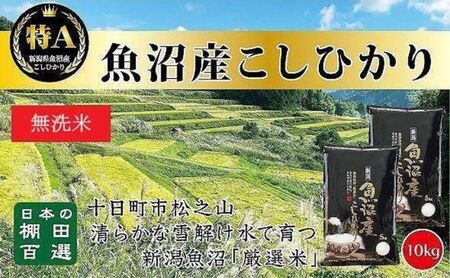 【令和7年産】【食味鑑定士厳選】日本棚田百選のお米 無洗米 天空の里 魚沼産 こしひかり 10kg(5kg×2)