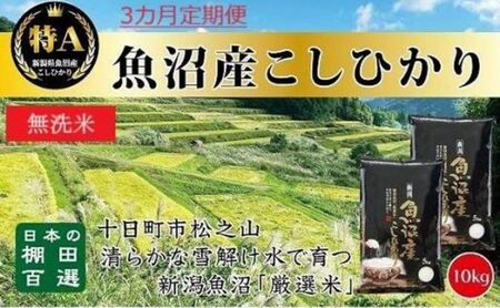 【令和7年産】【食味鑑定士厳選】 無洗米 3カ月 定期便 日本棚田百選のお米 天空の里 魚沼産 こしひかり 10kg(5kg×2)×3回 米 お米 コメ