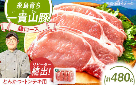 一貴山豚 ロースとんかつ・トンテキ用 計480g(120g×4枚) 糸島市 / いきさん牧場 豚肉 冷凍 [AGB030]