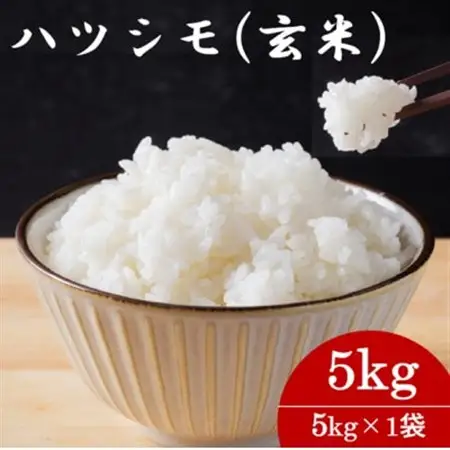 令和7年産　岐阜県産ハツシモ(玄米)5kg  国産 米_ 玄米 米 こめ コメ_【配送不可地域：離島】【1540548】