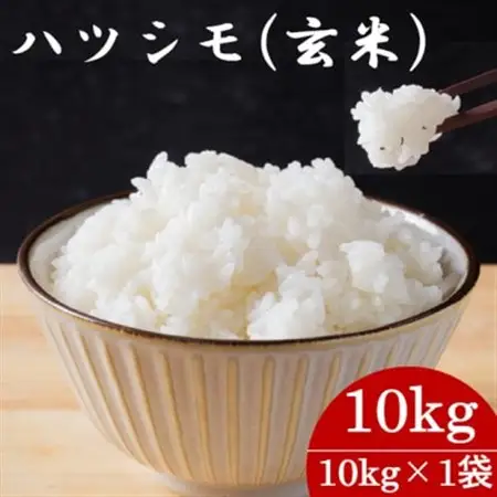 令和7年産　岐阜県産ハツシモ(玄米)10kg  国産 米_ 玄米 米 こめ コメ_【配送不可地域：離島】【1540786】