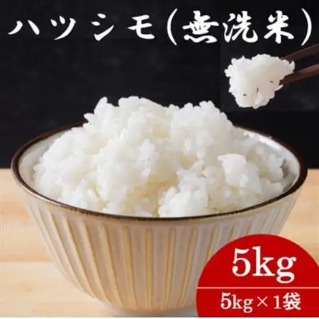 令和7年産 岐阜県産ハツシモ(無洗米)5kg 国産 米_ 無洗米 米 こめ コメ