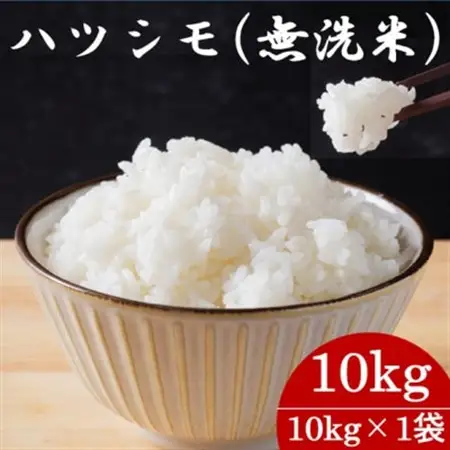 令和7年産　岐阜県産ハツシモ(無洗米)10kg　国産 米_ 無洗米 米 こめ コメ_【配送不可地域：離島】【1540853】