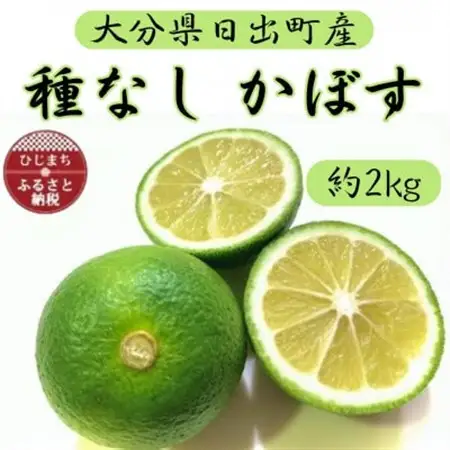 種なしかぼす 約2キロ　朝採り農園直送　大分の秋の味覚　スッキリとした上品な酸味と芳醇な香りが特徴_果物・フルーツ  柑橘 _【1541133】