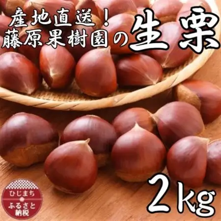 産地直送!藤原果樹園の生栗厳選2キロ_果物・フルーツ 栗  くり クリ_【配送不可地域：離島】【1541135】