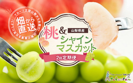 【期間限定発送】【旬の桃とシャインマスカットの2回定期便】令和7年 桃約2kg（5～6玉）、シャインマスカット約1.8kg（2～4房） [株式会社えべし 山梨県 中央市 21470869] ぶどう 桃 フルーツ 果物 くだもの ブドウ シャイン マスカット もも 葡萄 期間限定 季節限定 【2026年6月下旬-10月下旬発送予定】