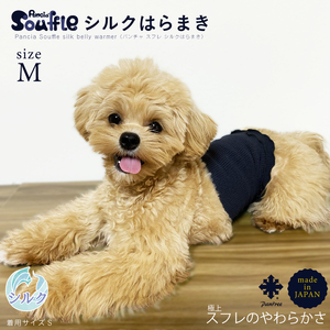 日本製 pancia Souffle シルク 腹巻 Mサイズ 【アイボリー×キャメル ＋ チャコール】 犬用 ／ まちづくり観光振興機構 ドッグウェア ペット服 ペット腹巻 奈良県 田原本町