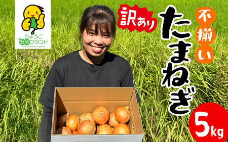玉ねぎ 5kg 訳あり 淡路島  / 玉ねぎ