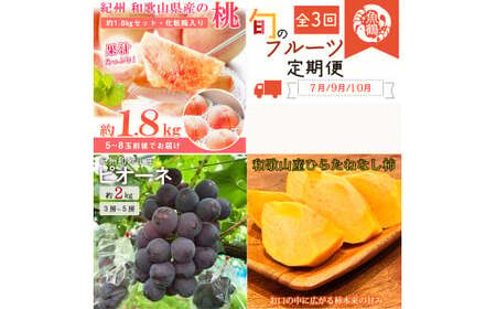 定期便 【全3回】フルーツ定期便  桃 ピオーネ ひらたねなし柿 【tkb371】