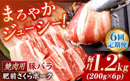 【定期便】 豚肉 焼肉用 総計7.2kg NAC605 豚肉 全6回