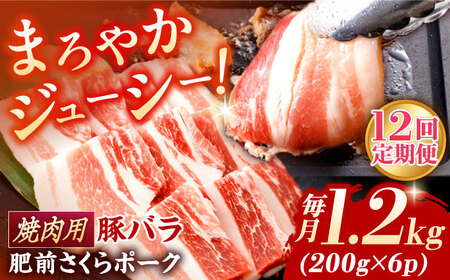 【定期便】 豚肉 焼肉用 総計14.4kg NAC606 豚肉 全12回