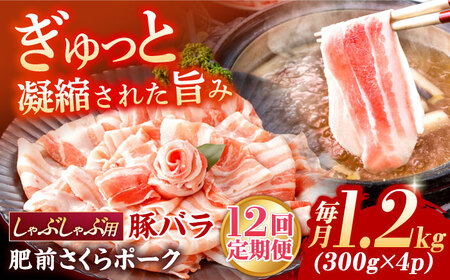 【定期便】 豚肉 しゃぶしゃぶ用 総計14.4kg NAC612 豚肉 全12回