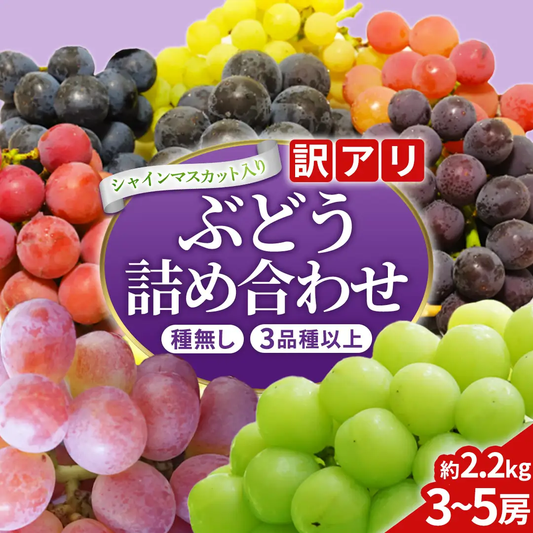 ＼訳あり ご家庭用／大粒ぶどう（種なし）詰合せ 合計 3～5房入 (DM004)