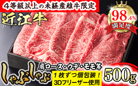 【森三商会】4等級以上 未経産雌牛限定 近江牛 上 しゃぶしゃぶ 500g （モモ・肩ロース・ウデ等）【GM08W】 【 近江牛 】 牛肉