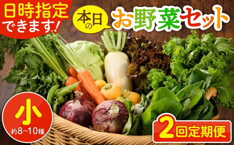 【２回定期便】日時指定OK！本日のお野菜セット （小サイズ/約8～10種） / 野菜 朝どれ 有機栽培 産地直送 新鮮 旬 詰め合わせ サラダ 果物 きのこ類 やさい 送料無料 【オーガニックのまち 宮崎県綾町】_A0053-002