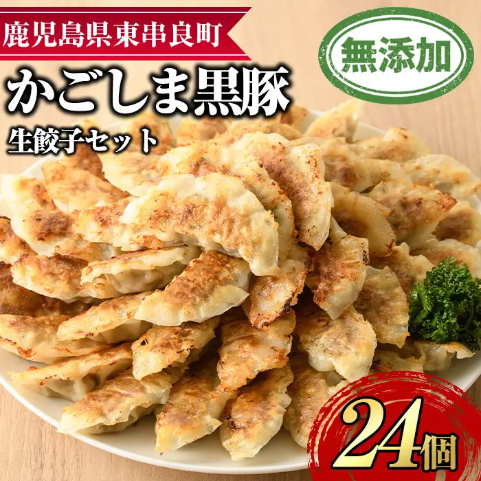 【0095119a】鹿児島黒豚生餃子セット(12個入×2パック・計24個) 黒豚 豚肉 ぶた肉 餃子 ギョウザ ぎょうざ 惣菜 【鹿児島ますや】