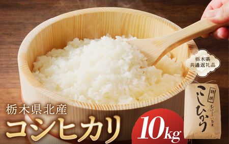 【令和7年度産】栃木県北産コシヒカリ 10kg入【栃木県共通返礼品】ns091-001