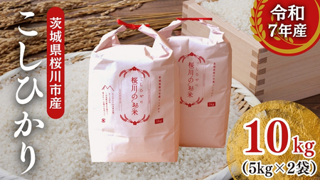 【生産者支援】 《令和7年産 先行予約》茨城県 桜川市産 こしひかり10kg（5kg×2袋） 茨城県産 桜川 米 お米 白米 コメ ごはん 精米 コシヒカリ 国産 限定 銘柄米 [SC050sa]
