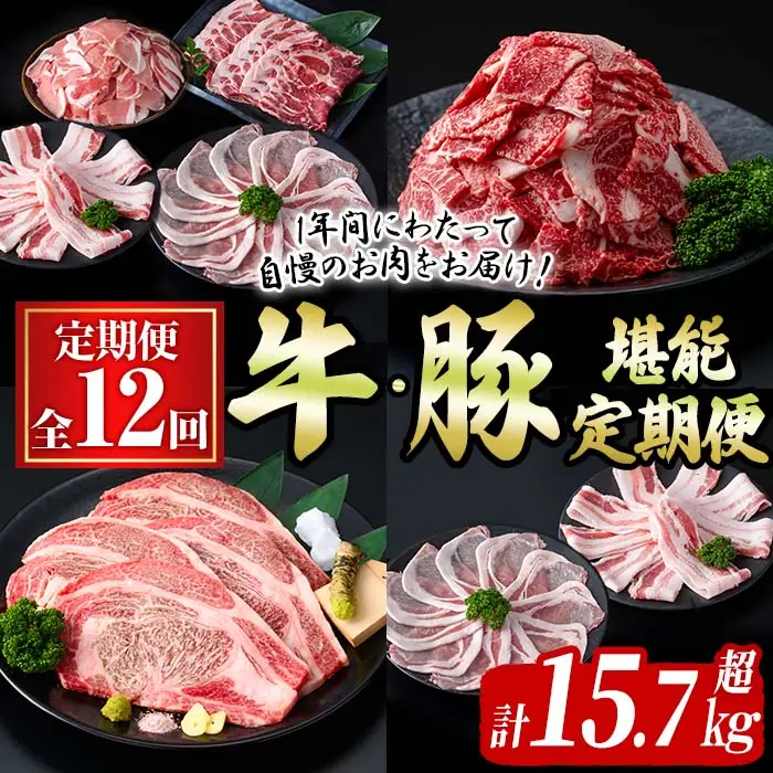 【定期便全12回】牛・豚堪能定期便(12ヶ月連続・計15.7kg超) 黒毛和牛 国産牛 九州産 豚 豚肉 肉 牛肉 国産 4等級 訳あり 小分け 真空包装 冷凍 t0199-001