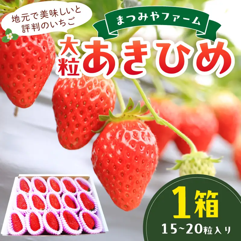 【先行予約】【特選】京都・まつみやファームの大粒いちご（あきひめイチゴ）15～20粒（2027年2月上旬～発送）農家直送 いちご