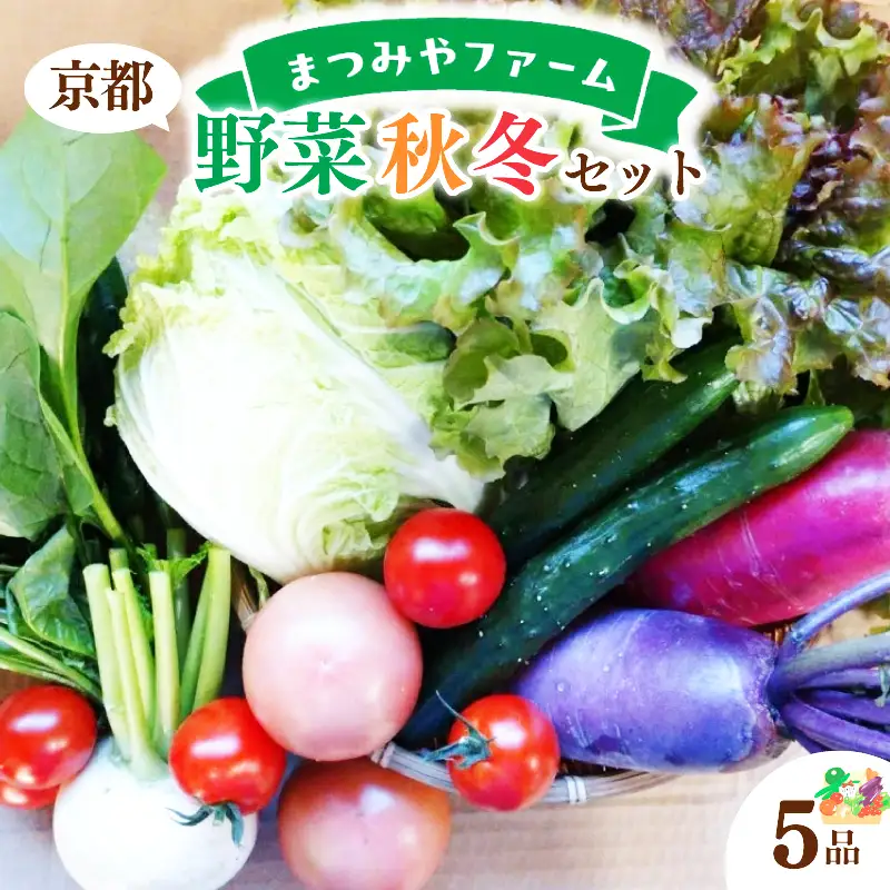 【野菜】京都 野菜秋冬セット 5品
