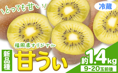 ☆2026年出荷☆☆甘うぃ 約1.4kg 9-20玉前後《10月中旬-11月末頃出荷》福岡県 鞍手郡 鞍手町 キウイフルーツ キウイ 福岡県オリジナル 新品種 甘うぃ 果物 くだもの フルーツ【配送不可地域あり】