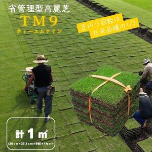 芝生（省管理型コウライ芝　TM9ティーエムナイン）