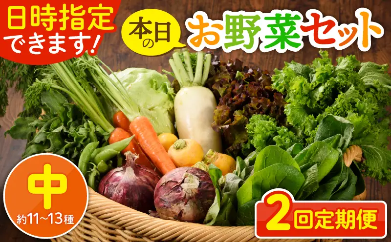【２回定期便】日時指定OK！本日のお野菜セット （中サイズ/約11～13種） 2～3人用 / 野菜 朝どれ 有機栽培 産地直送 新鮮 旬 詰め合わせ サラダ 果物 きのこ類 やさい 送料無料 定期便 2ヶ月【オーガニックのまち 宮崎県綾町】_A0053-006