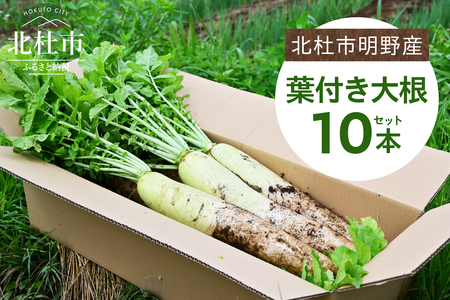 【2026年先行予約】北杜市明野産 「葉付き大根」10本セット（10kg程度）　葉付き 大根 10本 セット 野菜 10kg程度 北杜市明野産 ダイコン 農薬不使用 有機肥料 新鮮 大根葉 生食 煮物 期間限定 山梨県 北杜市 [h202]