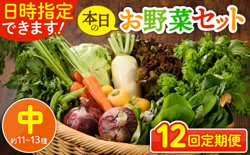 【12回定期便】日時指定OK！本日のお野菜セット （中サイズ/約11～13種） 2～3人用 / 野菜 朝どれ 有機栽培 産地直送 新鮮 旬 詰め合わせ サラダ 果物 きのこ類 やさい 送料無料 定期便 12ヵ月 【オーガニックのまち 宮崎県綾町】_A0053-008