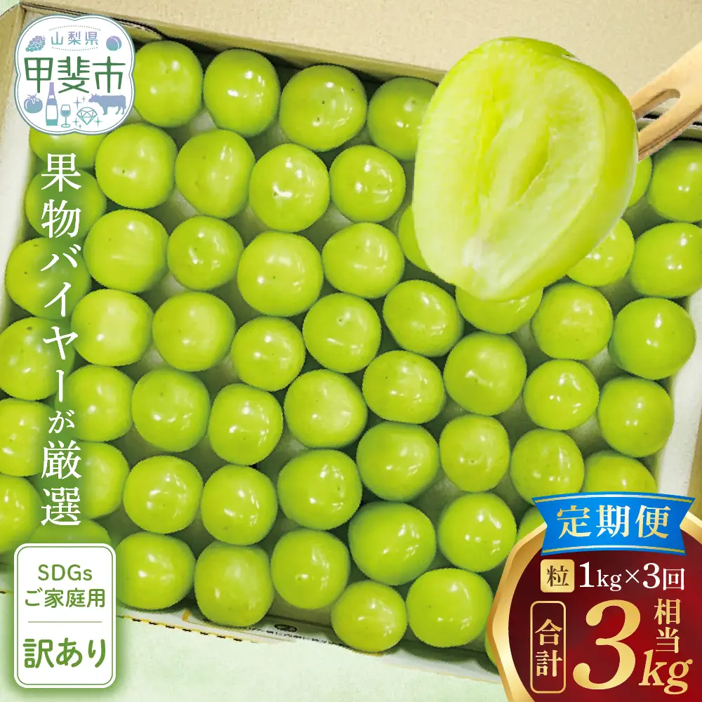 【訳アリ】【定期便】粒 シャインマスカット 約1.0㎏×3回 山梨シャインマスカット