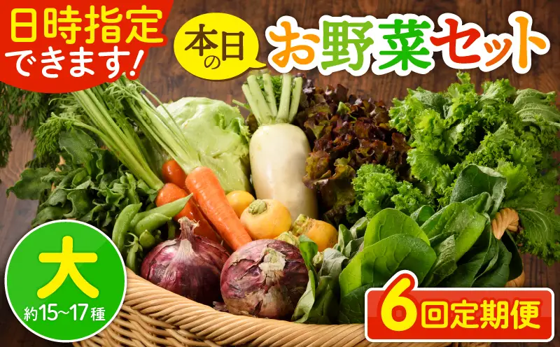 【６回定期便】日時指定OK！本日のお野菜セット （大サイズ/約15～17種） 4人以上用 / 野菜 朝どれ 有機栽培 産地直送 新鮮 旬 詰め合わせ サラダ 果物 きのこ類 やさい 送料無料 定期便 6カ月【オーガニックのまち 宮崎県綾町】＿A0053-011