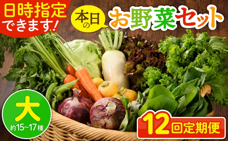 【12回定期便】日時指定OK！本日のお野菜セット （大サイズ/約15～17種） 4人以上用 / 野菜 朝どれ 有機栽培 産地直送 新鮮 旬 詰め合わせ サラダ 果物 きのこ類 やさい 送料無料 定期便 12カ月 【オーガニックのまち 宮崎県綾町】_A0053-012