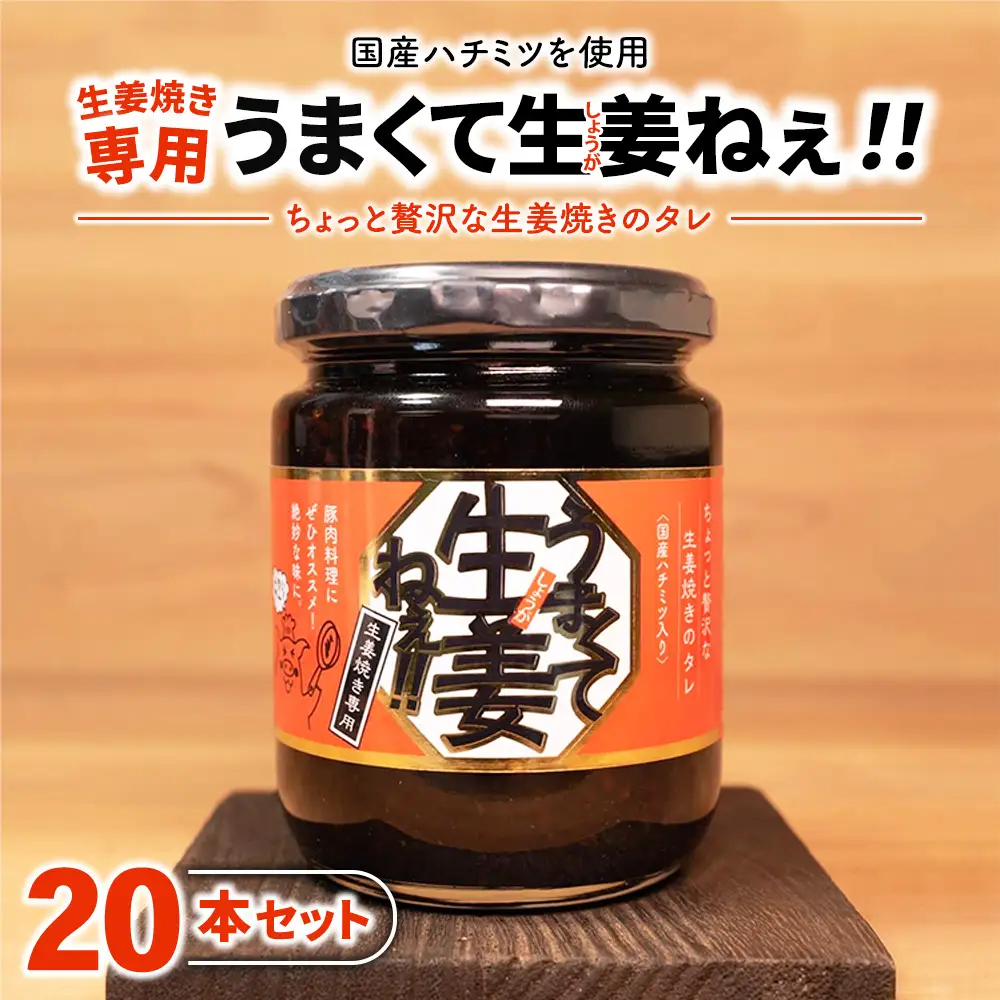 うまくて生姜ねぇ!!生姜焼き専用20本セット 【しょうが 国産 醤油漬け しょうが焼き タレ ごはんのお供 調味料 薬味 隠し味 猪苗代町 福島県】