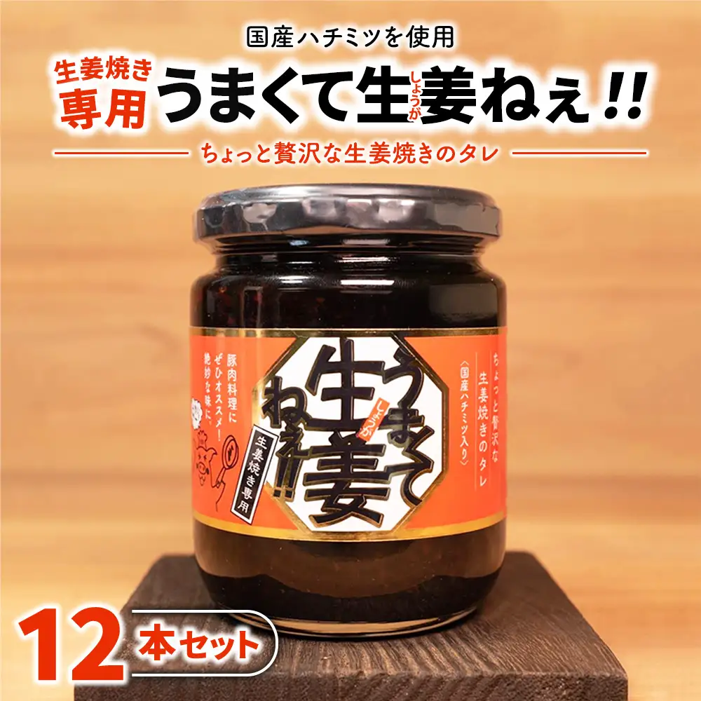 うまくて生姜ねぇ!!生姜焼き専用12本セット 【しょうが 国産 醤油漬け しょうが焼き タレ ごはんのお供 調味料 薬味 隠し味 猪苗代町 福島県】