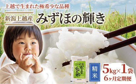 【精米したて！】 令和8年産 新潟県上越市産 みずほの輝き 定期便 5kg×6回 30kg  新米 先行予約 蛍の里