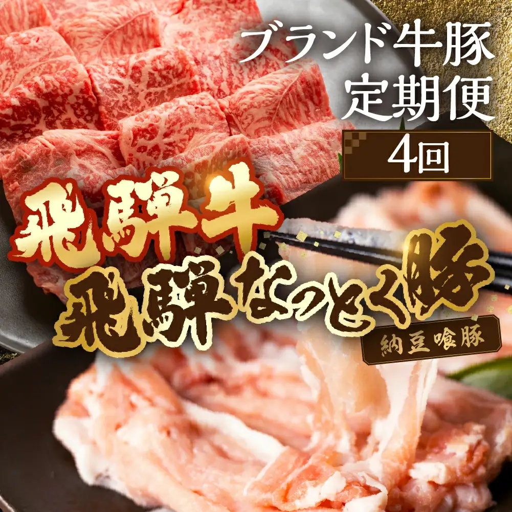 【定期便４回】 飛騨牛＆納豆喰豚 お楽しみ定期便（しゃぶしゃぶ用、焼肉用）【11-T】