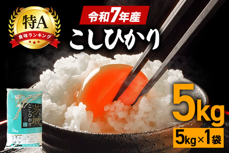 令和7年産 コシヒカリ 米 5kg  FH-012 