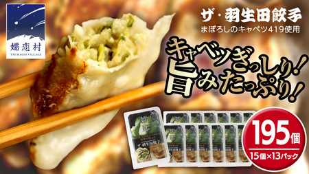 まぼろしのキャベツ419使用 ザ・羽生田餃子 15個 × 13パック 合計195個 [AL003tu]