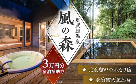 奥武雄温泉風の森 宿泊券 (30,000円分) 宿泊 [UEC001]