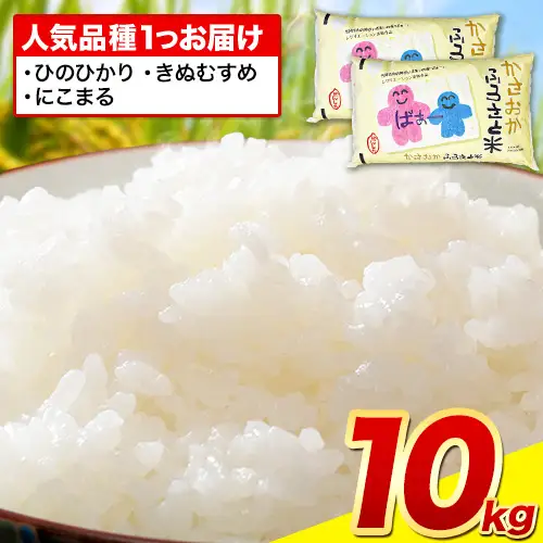 白米【令和8年7月発送】備中笠岡ふるさと米 10kg