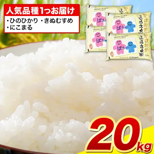 白米【令和8年7月発送】備中笠岡ふるさと米 20kg