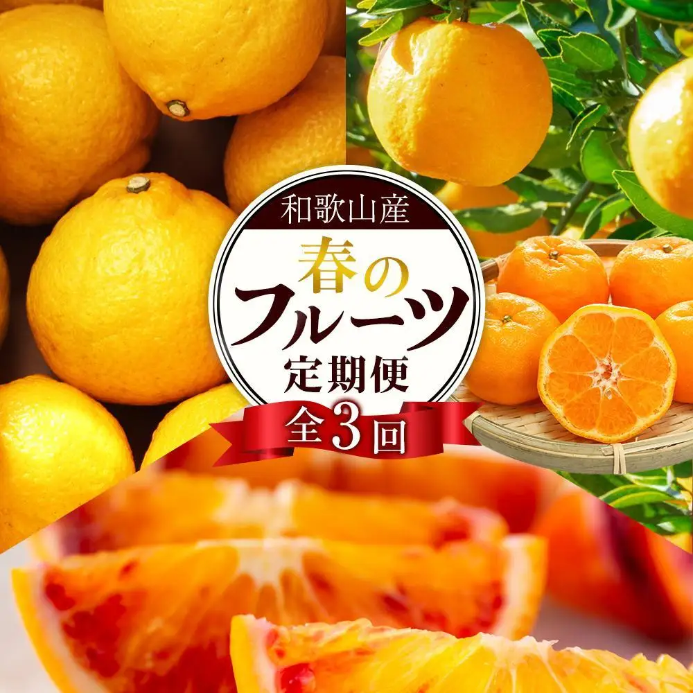 定期便全3回 【2月・3月・4月発送】 和歌山の春の柑橘 （ポンカン・はるか・ブラッドオレンジ）秀品【TM173】