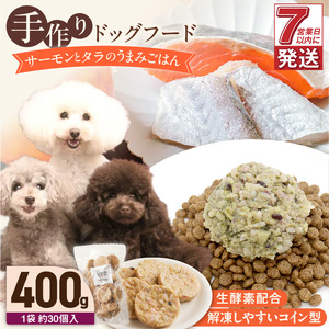 1cofood 手作りドッグフード サーモンとタラのうまみごはん 400g×1袋_ドッグフード 手作り サーモン タラ うまみ ごはん 選べる 内容量 400g × 1袋 ～ 5袋 1cofood DHA EPA 抗酸化作用 魚 国産野菜 米 フルーツ 生酵素 海藻 コイン型 ペット 冷凍 福岡県 久留米市 送料無料 〔Pf015〕