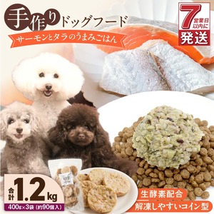 1cofood 手作りドッグフード サーモンとタラのうまみごはん 400g×3袋 〔Pf017〕