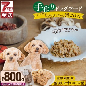 1cofood 手作りドッグフード 猪ごはん 400g×2袋 〔Pf031〕