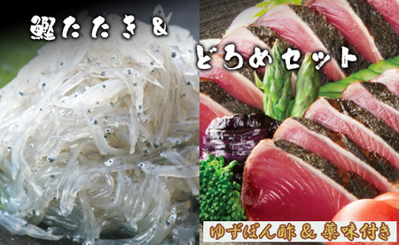 【どろめ】土佐料理司 鰹たたき・どろめセット 魚介 海鮮 tr-0015