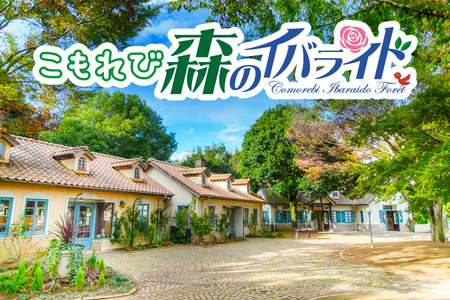 こもれび森のイバライド 入園招待券 2枚セット [1057]
