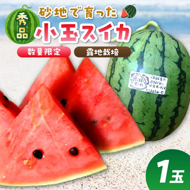 【先行予約／数量限定200】スイカ にしまるスイカ 秀品 1玉｜2026年7月中旬から発送